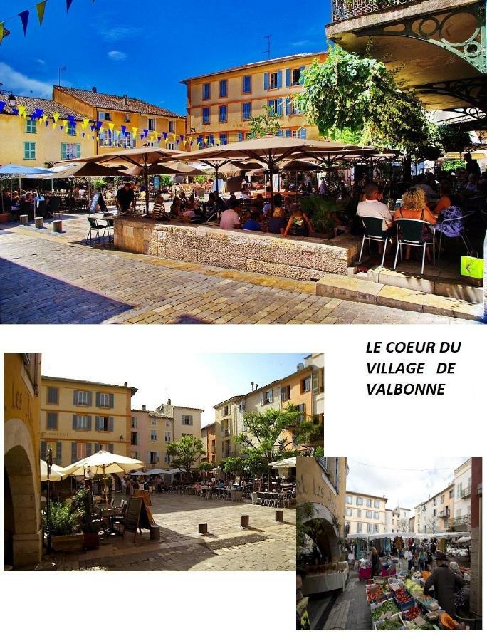 Les Chênes Verts Valbonne Exterior foto